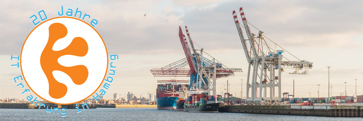 kneese.biz - 20 Jahre IT-Erfahrung in Hamburg